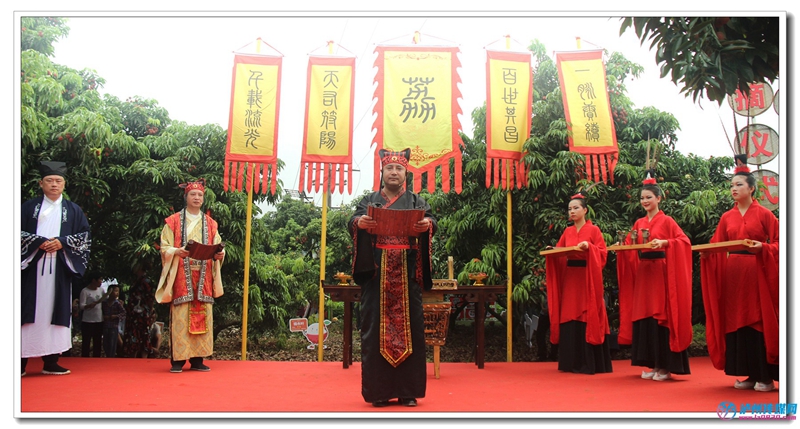 2021年合江荔枝采摘仪式举行 宾荔牌荔枝风味独特(图1) 2021年合江荔枝采摘仪式举行 宾荔牌荔枝风味独特(图1)